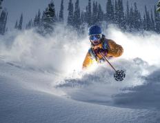 IM体育官方网站-基米希一锤定音，爱尔兰强势晋级书写绿茵新篇