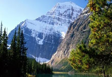 IM体育数据分析平台-贝蒂斯封锁法国，阿劳霍成为关键先生，一场战术博弈的胜利