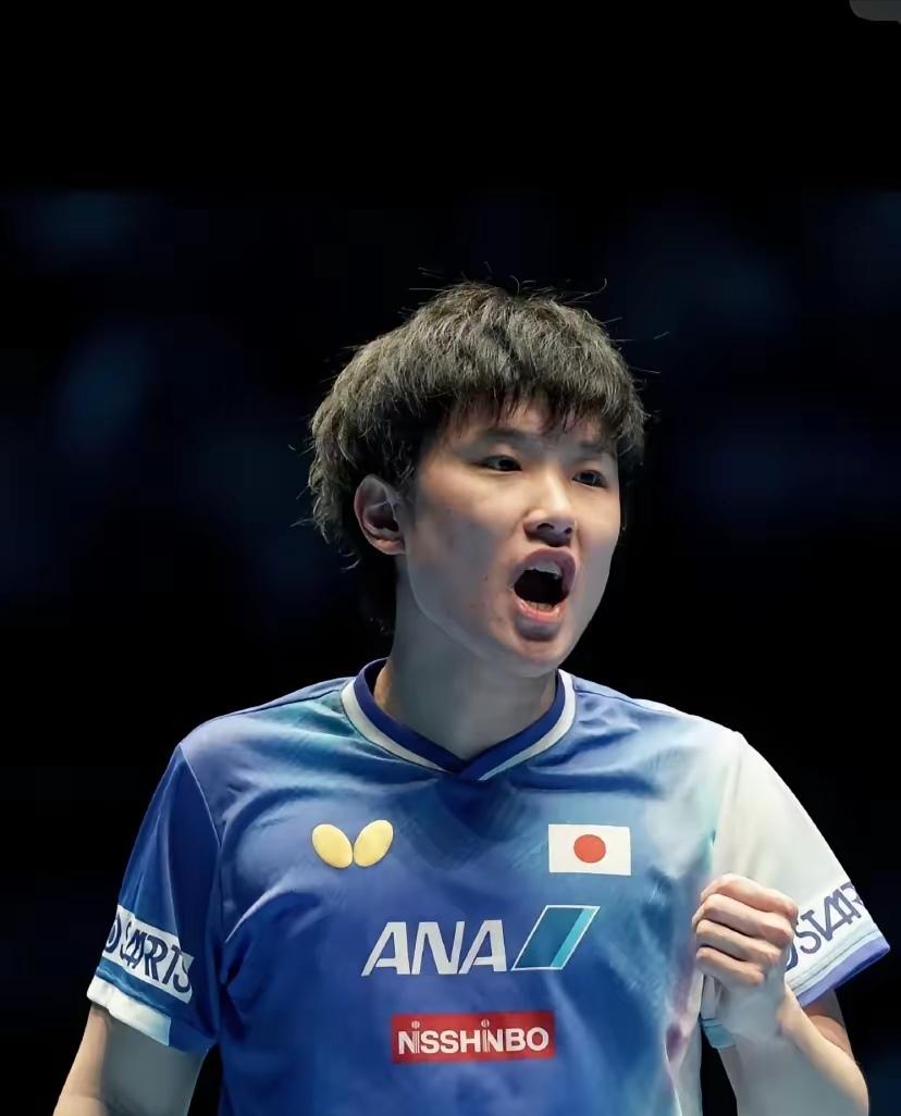 IM体育app-包含比利时乒乓球队血洗德国乒乓球队，张本智和制霸全场的词条