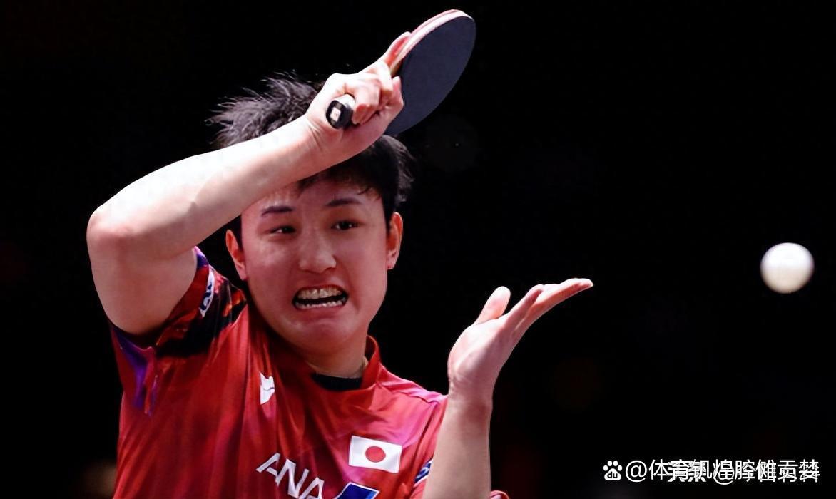 IM Sport-奥地利队鏖战法国队，张本智和状态火热的简单介绍