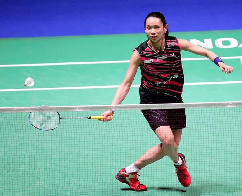 IM体育社区互动入口-马来西亚队绝杀法国队，戴资颖关键制胜的简单介绍